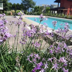 Gloria Appartement Peschiera del Garda