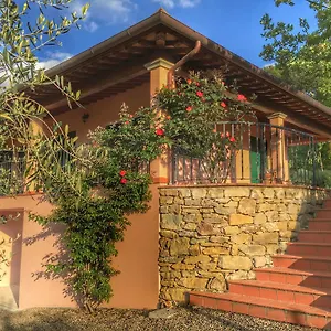 Tuscany Roses Villa Arezzo